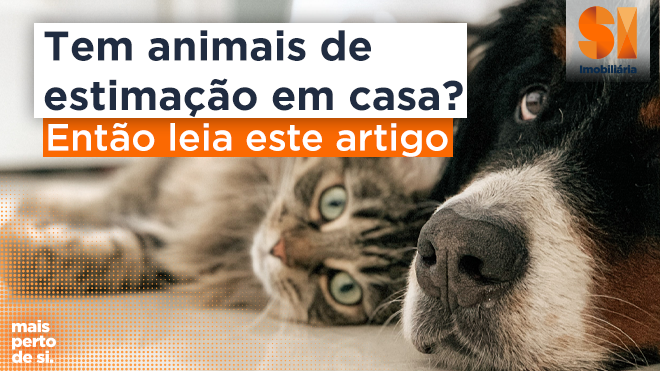 Tem animais de estimação em casa? Então leia este artigo.